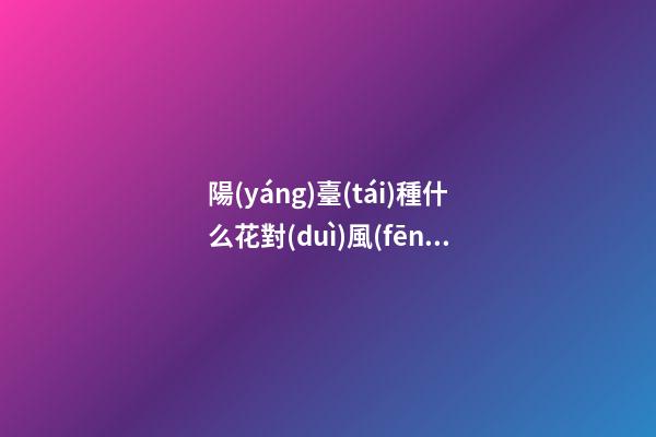 陽(yáng)臺(tái)種什么花對(duì)風(fēng)水好 適合種在陽(yáng)臺(tái)的花